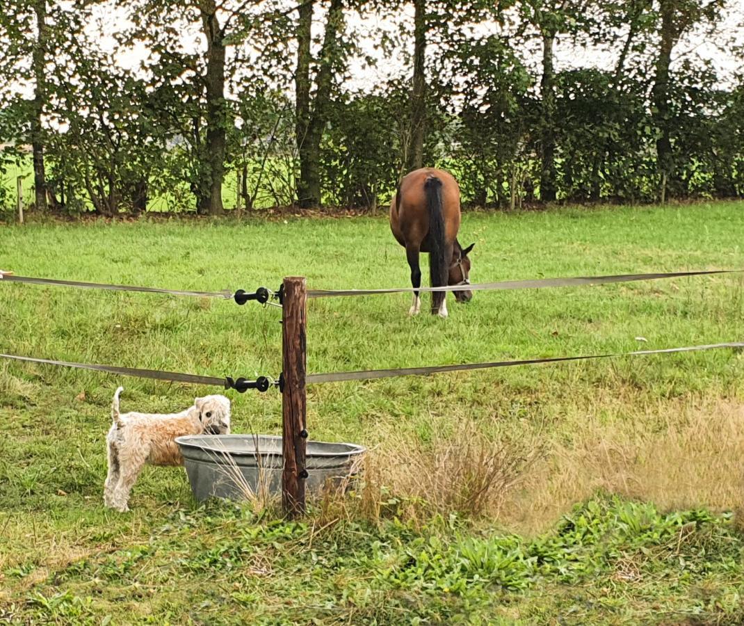 B&B De Nieuwenhof 'De Tuinkamer' Melderslo Luaran gambar